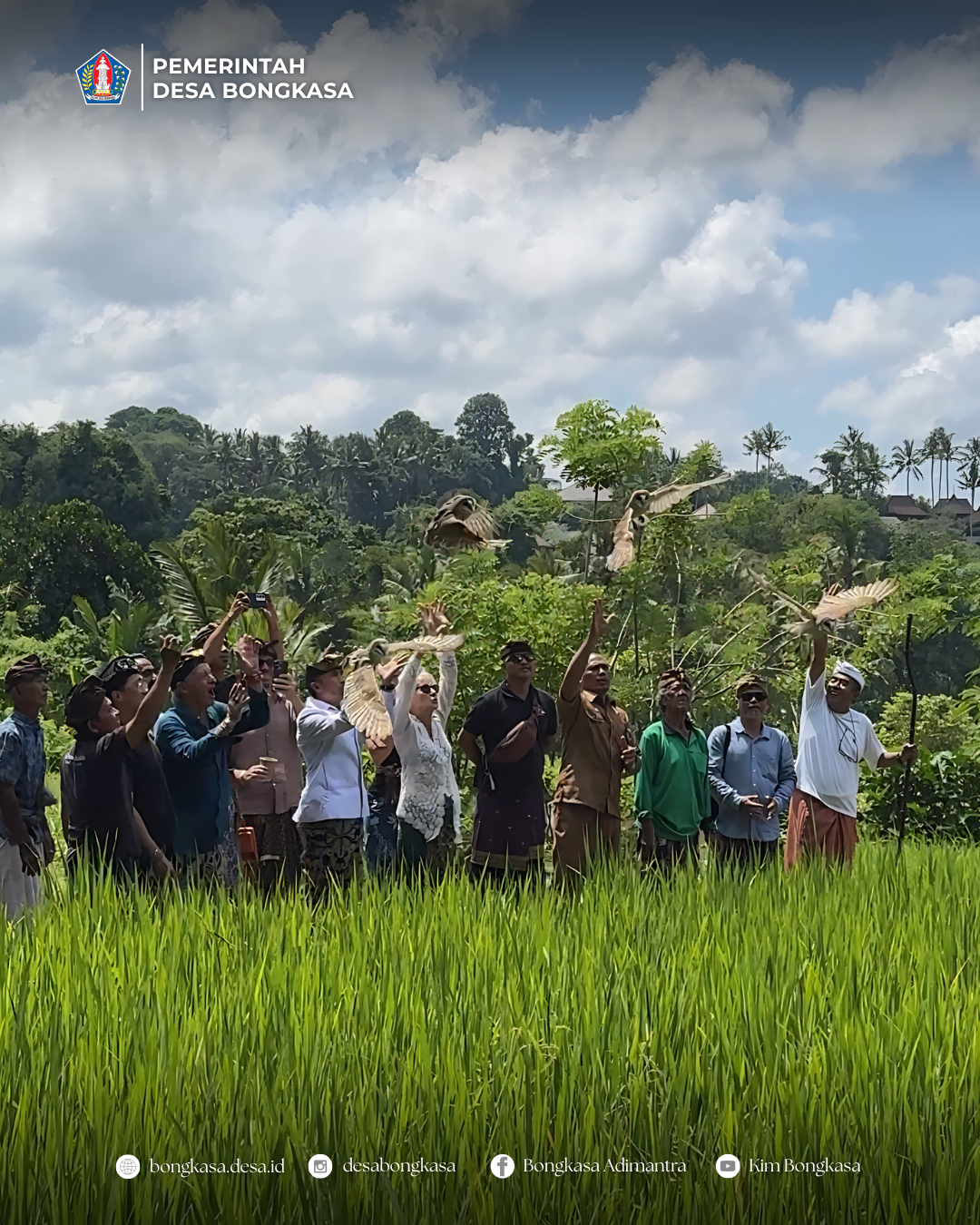 Pelepasliaran Burung Hantu Jenis Tito Alba